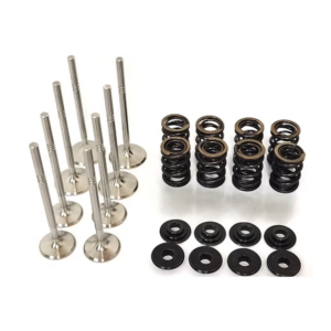 Dual Racing Valve Spring Kit VW 1.8T 20v + Valves ( Exhaust )