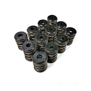 Dual Racing Valve Spring Kit VW VR6 12v