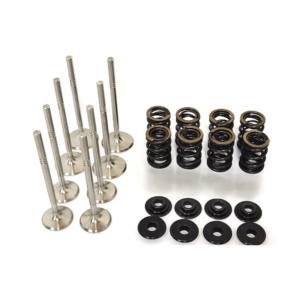 Dual Racing Valve Spring Kit + Valves VW 8v