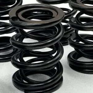 Dual Racing Valve Spring Kit Nissan A14/A15