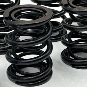 Dual Racing Valve Spring Kit Ford Kent