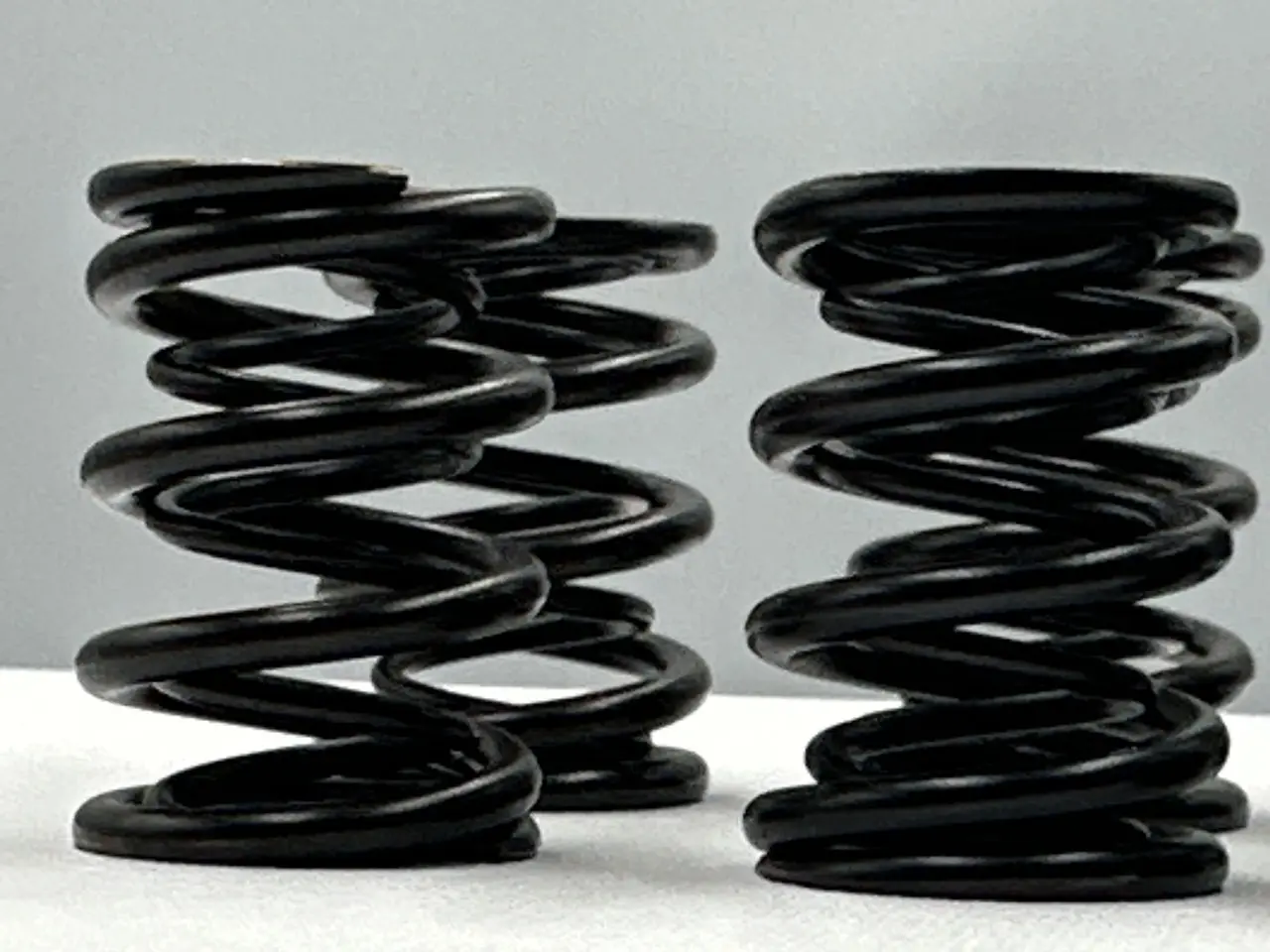 Racing Dual Valve Spring Kit 6mm BMW M54