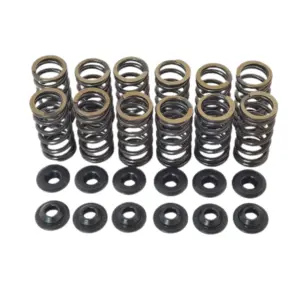 Racing Dual Valve Spring Kit + 6mm Chromoly Retainers + Locators + Valve Set BMW M50